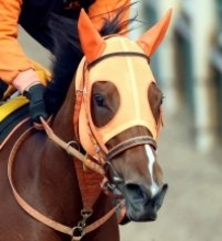 【愛知杯】尾張の牝馬重賞は大混戦の様相！　単勝１番人気のチェルビアットが６．２倍　前日最終オッズ