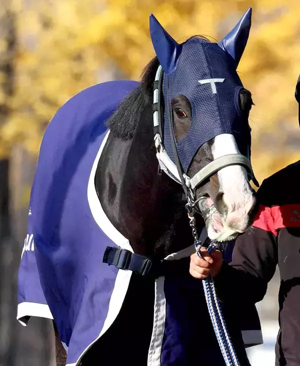 【注目馬動向】クイーンエリザベス２世カップへ向けてマスカレードボールが美浦へ帰厩