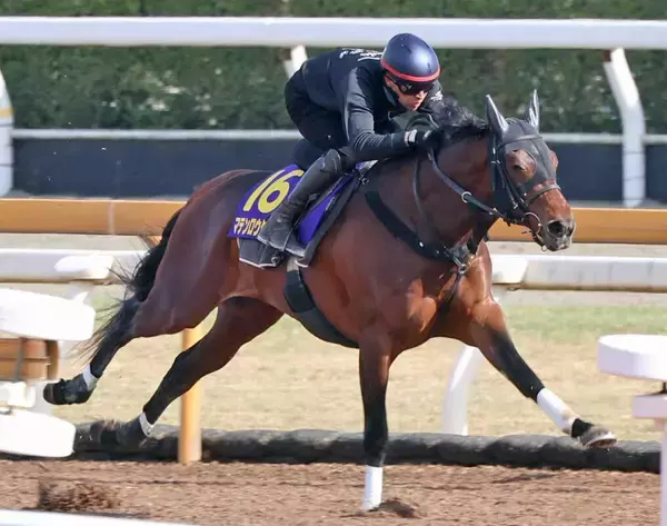 【皐月賞・１週前】若葉Ｓ勝ちマテンロウゲイルがＣＷコースで絶好の動き　野中調教師「見た目よりも時計が出ていた」