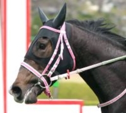 【ニュージーランドＴ】レザベーションが重賞初挑戦Ｖ　原優介騎手はフラワーＣで初制覇から中２週で再びタイトル獲得