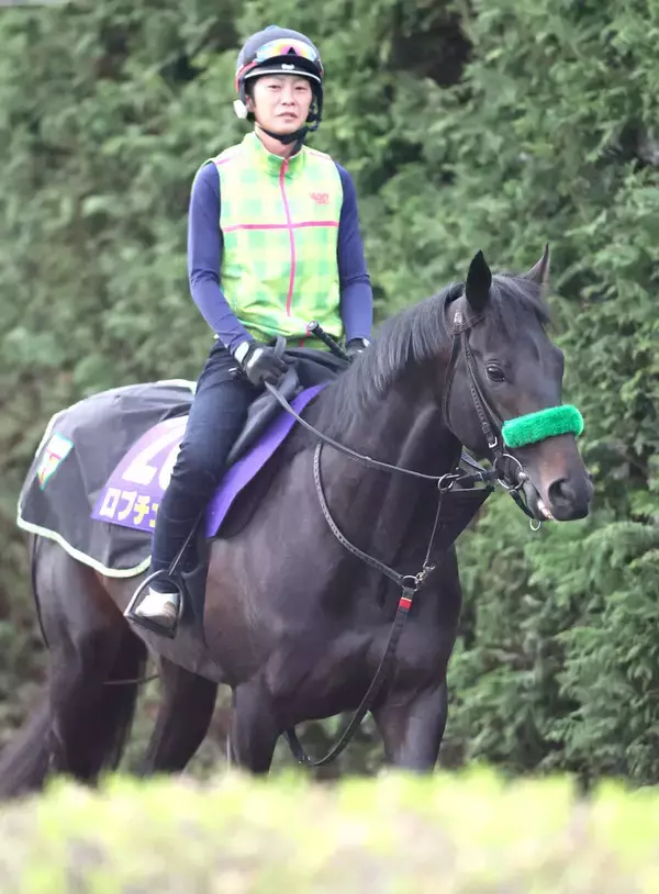【皐月賞】吉兆枠だ！ホープフルＳ完勝と同じ２枠４番　桜花賞制した松山弘平騎手とロブチェン１冠目狙う