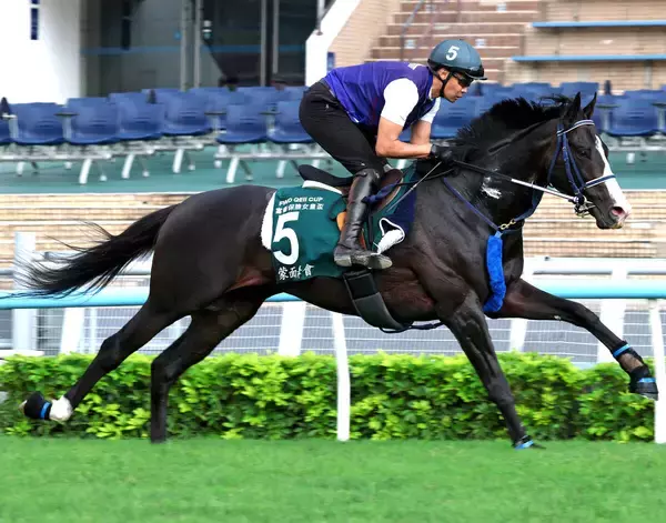 マスカレードボール、ジャンタルマンタルなど香港遠征馬５頭が帰国　ＪＲＡ発表