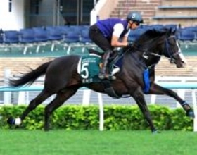 マスカレードボール、ジャンタルマンタルなど香港遠征馬５頭が帰国　ＪＲＡ発表