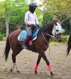 「【京王杯スプリングＣ】ファンダムとルメール騎手は１３番から前回の雪辱へ　先週重賞２勝の武豊騎手ヤブサメは大外枠」の画像1