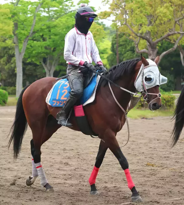 【京王杯スプリングＣ】ファンダムとルメール騎手は１３番から前回の雪辱へ　先週重賞２勝の武豊騎手ヤブサメは大外枠