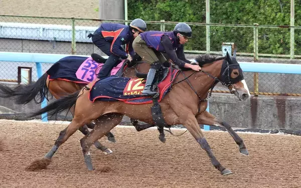 【ヴィクトリアＭ・特選有力馬チェック】チェルヴィニアは買うべき？