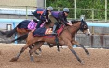 【ヴィクトリアＭ・特選有力馬チェック】チェルヴィニアは買うべき？