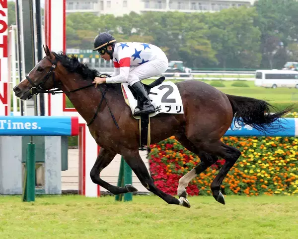 【阪神４Ｒ・２歳新馬】横山典弘騎手の１０番人気ギブリがＶ　松永幹夫調教師「いい位置を取れましたね」