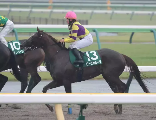 「最高」「買える騎手」１０番人気馬を２着に導いた「コバミク」がトレンド入り！　アルテミスＳの小林美駒騎手