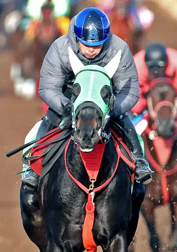 【阪神ＪＦ】北出勢はメイプルハッピー、スウィートハピネスの２頭が抽選突破　陣営「２頭とも力を出せれば面白い」