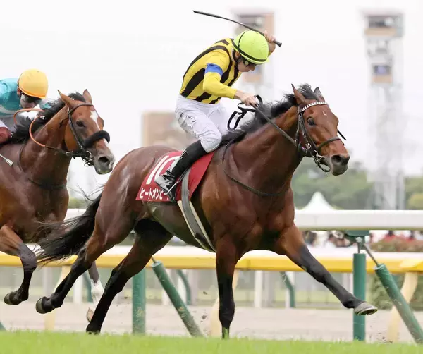 ２３年の目黒記念を制したヒートオンビートが競走馬登録抹消　今後は軽種馬育成調教センターで乗馬に