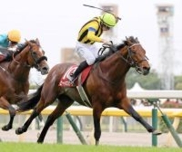 ２３年の目黒記念を制したヒートオンビートが競走馬登録抹消　今後は軽種馬育成調教センターで乗馬に