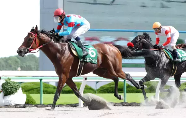 【競走伝】「ほかの馬が止まって見える」亡き藤岡康太さんも驚嘆　上がり３４秒９の豪脚で１３頭ゴボウ抜き　１１年プロキオンＳ