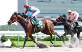 【競走伝】「ほかの馬が止まって見える」亡き藤岡康太さんも驚嘆　上がり３４秒９の豪脚で１３頭ゴボウ抜き　１１年プロキオンＳ