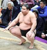 「横綱のしこ名を受け継ぐ旭富士が序ノ口優勝「いい成績を残せるように努力したい」」の画像1