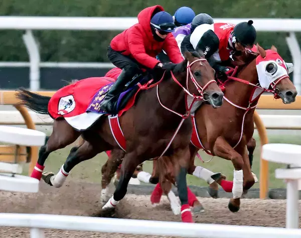 【注目馬動向】フォーエバーヤングがＣＷコースで６ハロン７８秒７の好時計　坂井瑠星騎手「これで良くなってくる」