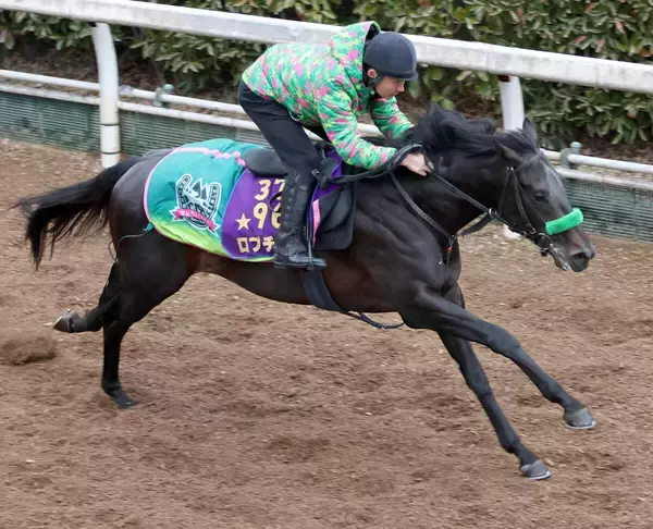 【共同通信杯】３連勝で皐月賞へ　Ｇ１ホースのロブチェンが能力を示す　杉山晴調教師「東京も大丈夫だと思います」
