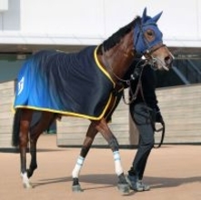 【報知杯ＦＲ】２０分の１０の抽選対象も...機動力あるメルメラーダ出走なら面白い存在　陣営「前走より具合はいい」