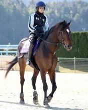 ２０２４年東京ダービー圧勝のラムジェットは松永幹厩舎に転厩　佐々木調教師が定年引退のため