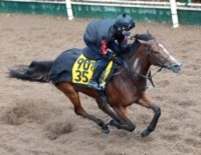 【中山牝馬Ｓ】実績上位のパラディレーヌが休養明けでも格好をつける　千田調教師「言い訳できるポジションにいない」