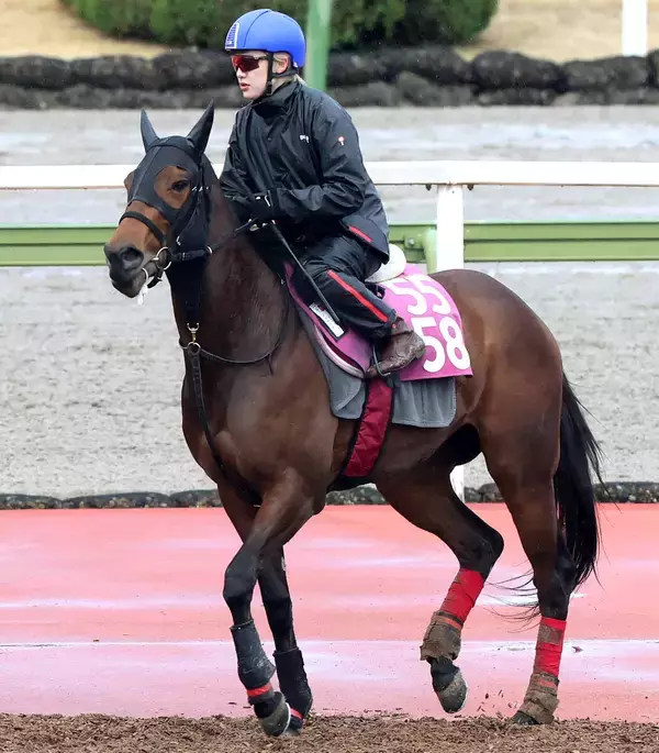 【報知杯ＦＲ】新馬レコードＶのルージュサウダージは落ち着き十分　松永幹調教師「１ハロンの距離延長をこなしてくれたら」