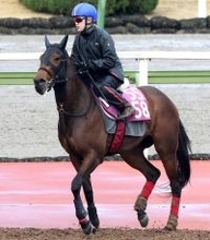 【報知杯ＦＲ】新馬レコードＶのルージュサウダージは落ち着き十分　松永幹調教師「１ハロンの距離延長をこなしてくれたら」