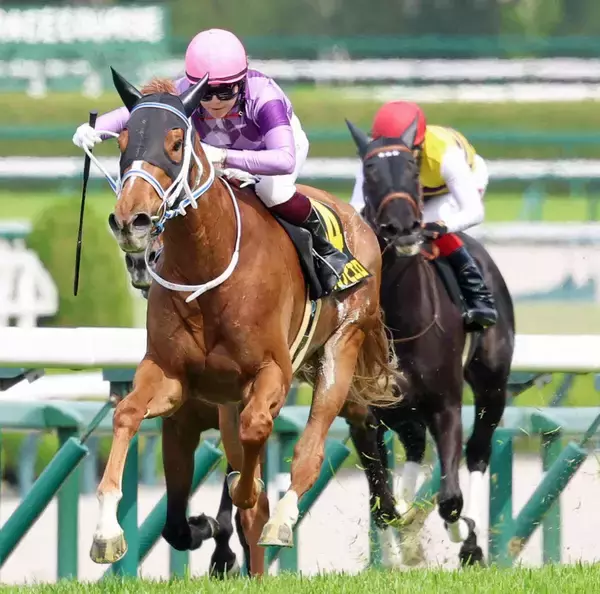 「オークスに面白い候補」「強すぎワロタ」砂デビュー馬の出世レース圧勝にネット歓喜　忘れな草賞のジュウリョクピエロ