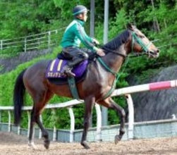 【天皇賞・春】宮調教師「楽しみなチャレンジ」　充実期タガノデュードが未知の３２００メートルに挑む