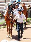 「【京都６Ｒ】国枝栄元調教師が厩務員として遠征競馬初体験　馬運車は「すごい快適。ドアｔｏドアだから人間は楽だよ」」の画像1