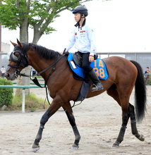 【七夕賞】３年ぶり参戦のバトルボーンが完全復活へ　林調教師「舞台にネガティブなイメージはないです」