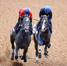 【天皇賞・秋１週前】昨年覇者マスカレードボールがリアライズシリウスと併せ馬　手塚久調教師「すごくいいですね」