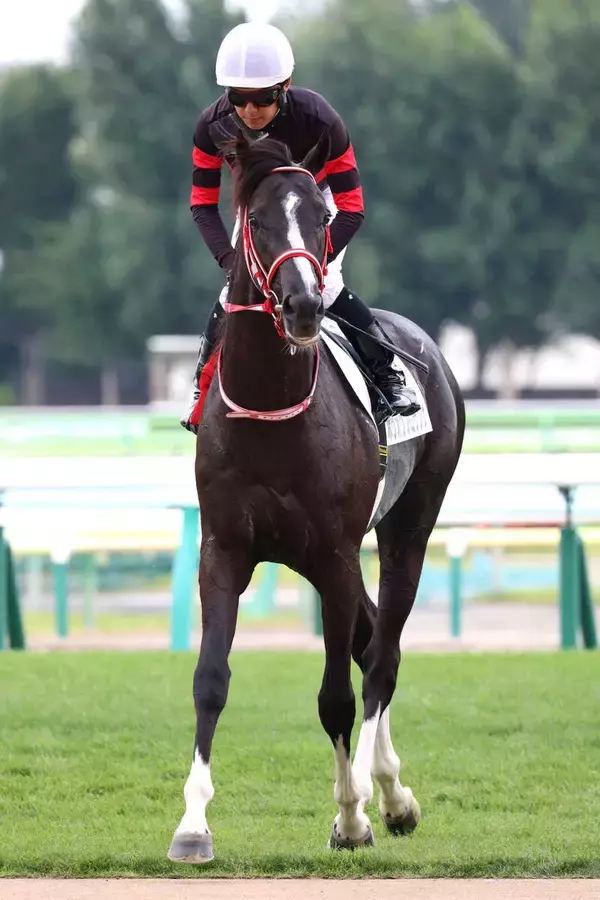 【中山グランドＪ】ＪＧ１初挑戦４・１億円馬ホウオウプロサンゲは４着　小野寺祐太騎手「暮れのＧ１に向けて…」