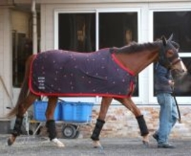 【注目馬動向】ミュージアムマイルの妹フェスティバルヒルは疲労が抜け切らずに春休養　骨折明けの桜花賞は１７着