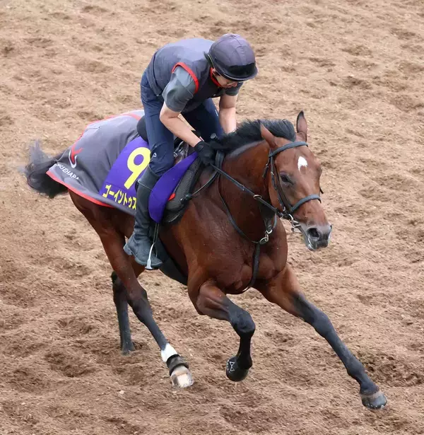 【日本ダービー】ゴーイントゥスカイは青葉賞からさらに上昇　武豊騎手７度目のダービー制覇へ準備は万全