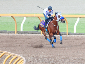 【宝塚記念】連覇を狙うメイショウタバル、持ったままラスト１０秒９　先週最年長Ｇ１制覇を達成した武豊騎手も“出待ち”でねぎらい