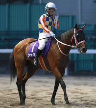 【注目馬動向】交流の「鬼」が新天地へ　重賞９勝のシャマルが競走馬登録抹消で地方移籍