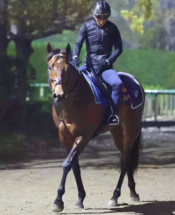 【ジュライＣ】悲願の海外Ｇ１制覇へサトノレーヴは順調な調整　堀調教師「前走と同様、好状態で臨めると見ています」
