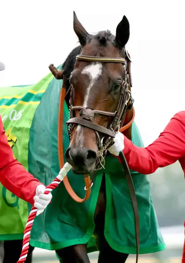 【注目馬動向】シックスペンスが秋の大目標をマイルＣＳに　次走は武豊騎手とジャックルマロワ賞へ