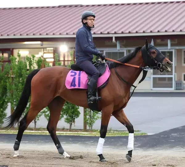 【注目馬動向】スイートピーＳ勝ち馬のカナルサンマルタンは８月９日の佐渡Ｓに出走予定も外傷のため回避
