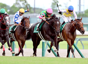 【中京２歳Ｓ・レースメモ】ジーティーマイカでシスキン産駒が当レース初出走・初勝利