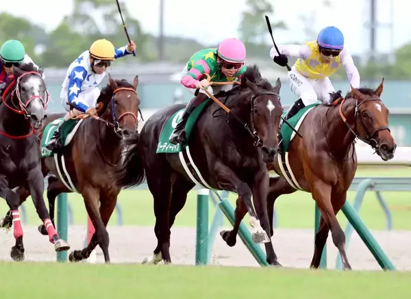 【中京２歳Ｓ・レースメモ】ジーティーマイカでシスキン産駒が当レース初出走・初勝利
