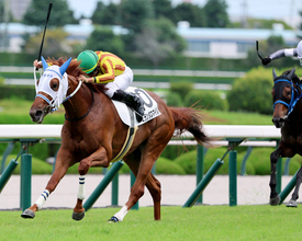 【阪神５Ｒ】岩田望来騎手が騎乗機会４連勝！　ミランダスマイルで直線抜け出す　「初戦としてはいい内容でした」