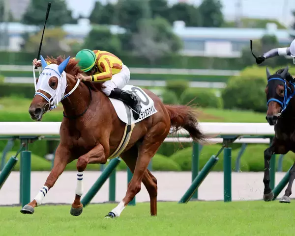 【阪神５Ｒ】岩田望来騎手が騎乗機会４連勝！　ミランダスマイルで直線抜け出す　「初戦としてはいい内容でした」