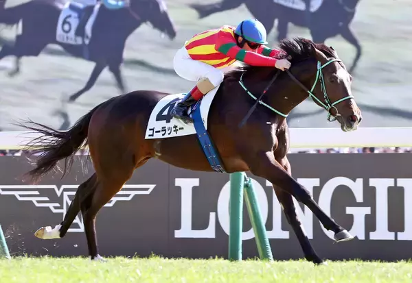 【東京６Ｒ・２歳新馬】鮮やか逃げ切りゴーラッキーのセンスを名手が絶賛　ルメール騎手「上手だったね」