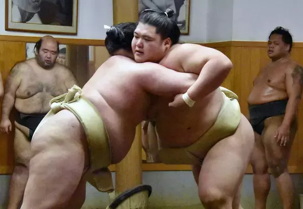 小結・王鵬、幕内上位に定着した２０２５年に「満足はしていない。どんどん上を目指していく」