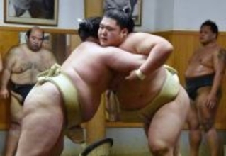 小結・王鵬、幕内上位に定着した２０２５年に「満足はしていない。どんどん上を目指していく」