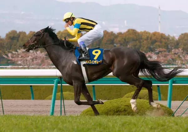 名牝ダンスインザムードが死す　ＳＮＳで追悼コメント続々「美しい青鹿毛の女王、安らかに」「ありがとうダンムー」