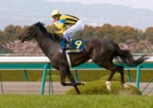 名牝ダンスインザムードが死す　ＳＮＳで追悼コメント続々「美しい青鹿毛の女王、安らかに」「ありがとうダンムー」