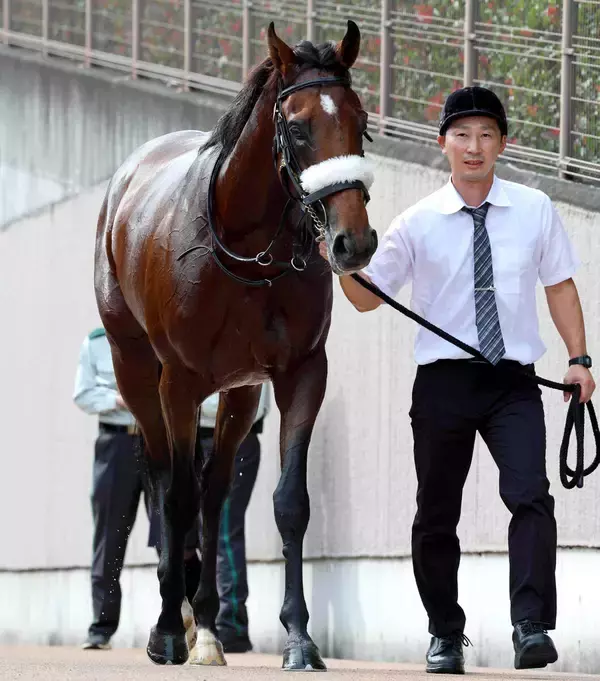 【注目馬動向】国枝調教師も声弾ませる「いいところのお坊ちゃんが...」上昇ムード　超良血馬アロンズロッド