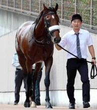 【注目馬動向】国枝調教師も声弾ませる「いいところのお坊ちゃんが...」上昇ムード　超良血馬アロンズロッド